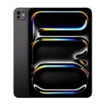 Apple tablet iPad Pro 11 WiFi 2024 capacity 256 GB